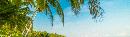 beautiful-paradise-island-with-beach-sea